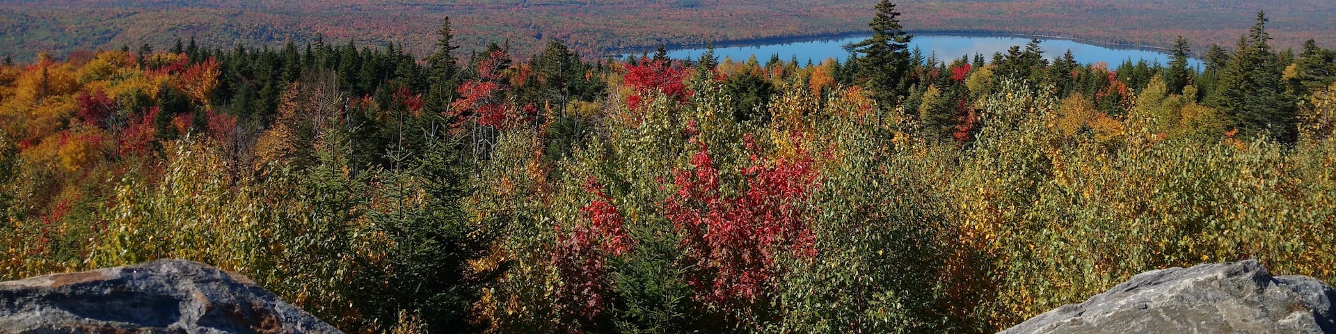 The best views always come from the top!
#maine #tourism #mountains #hiking #foliage #fall #vacationland