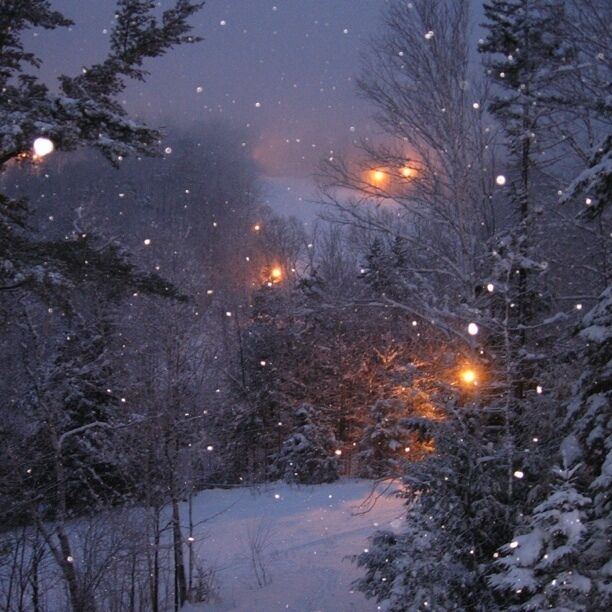 #snow   Great skiing!!!  Days or nights...  Maine's fastest growing ski resort.