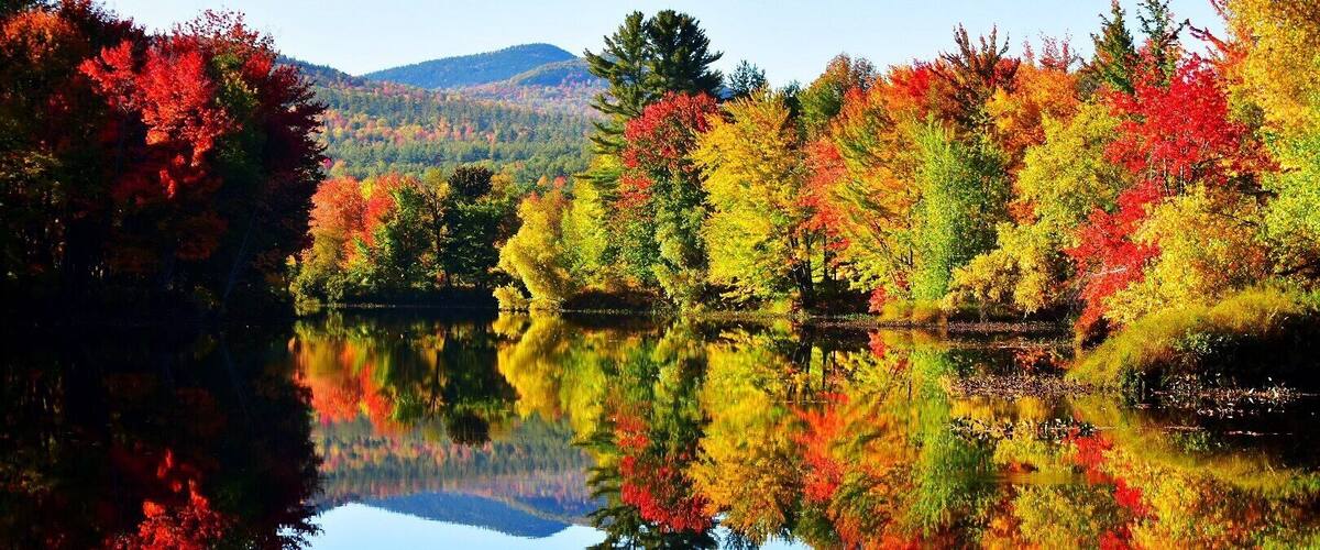 A foliage view from the Logan Brook along the Androscoggin River in Rumford Maine.