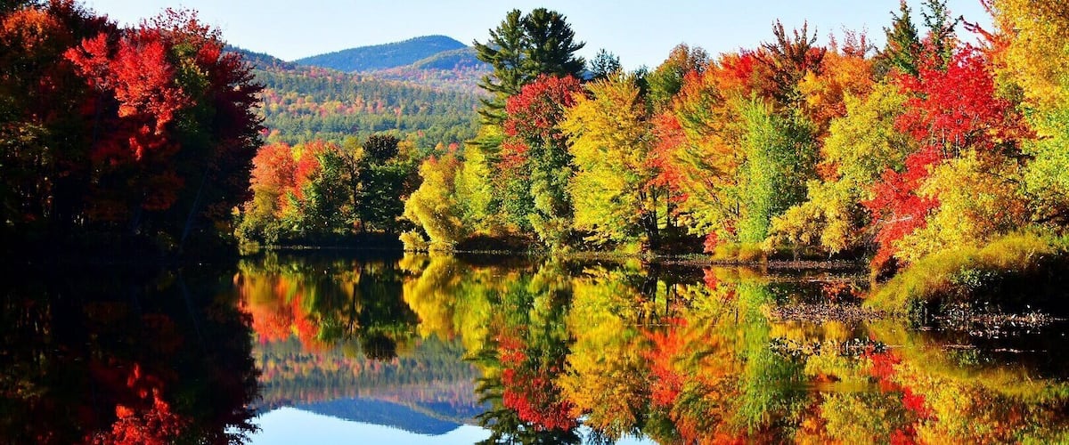 A foliage view from the Logan Brook along the Androscoggin River in Rumford Maine.