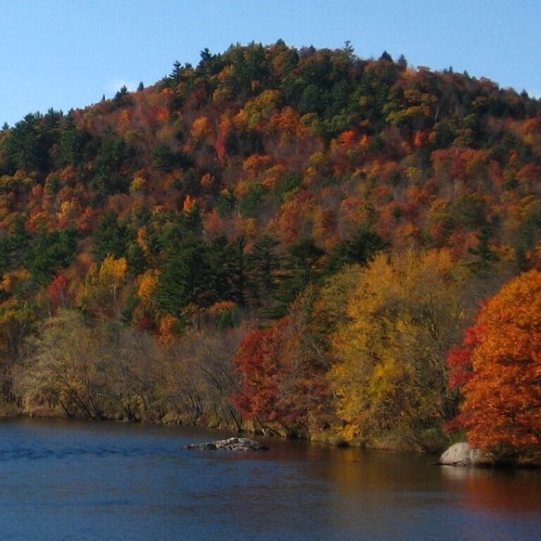 Foliage along the Androscoggin River near Mexico, Maine.