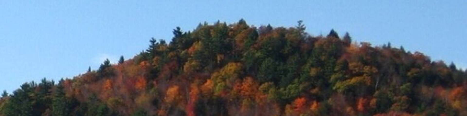 A forested hill with autumn foliage by a body of water.