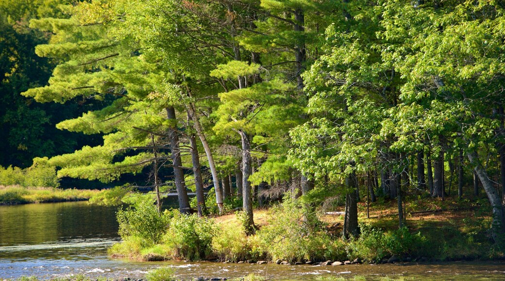The Forks que incluye escenas tranquilas y un río o arroyo