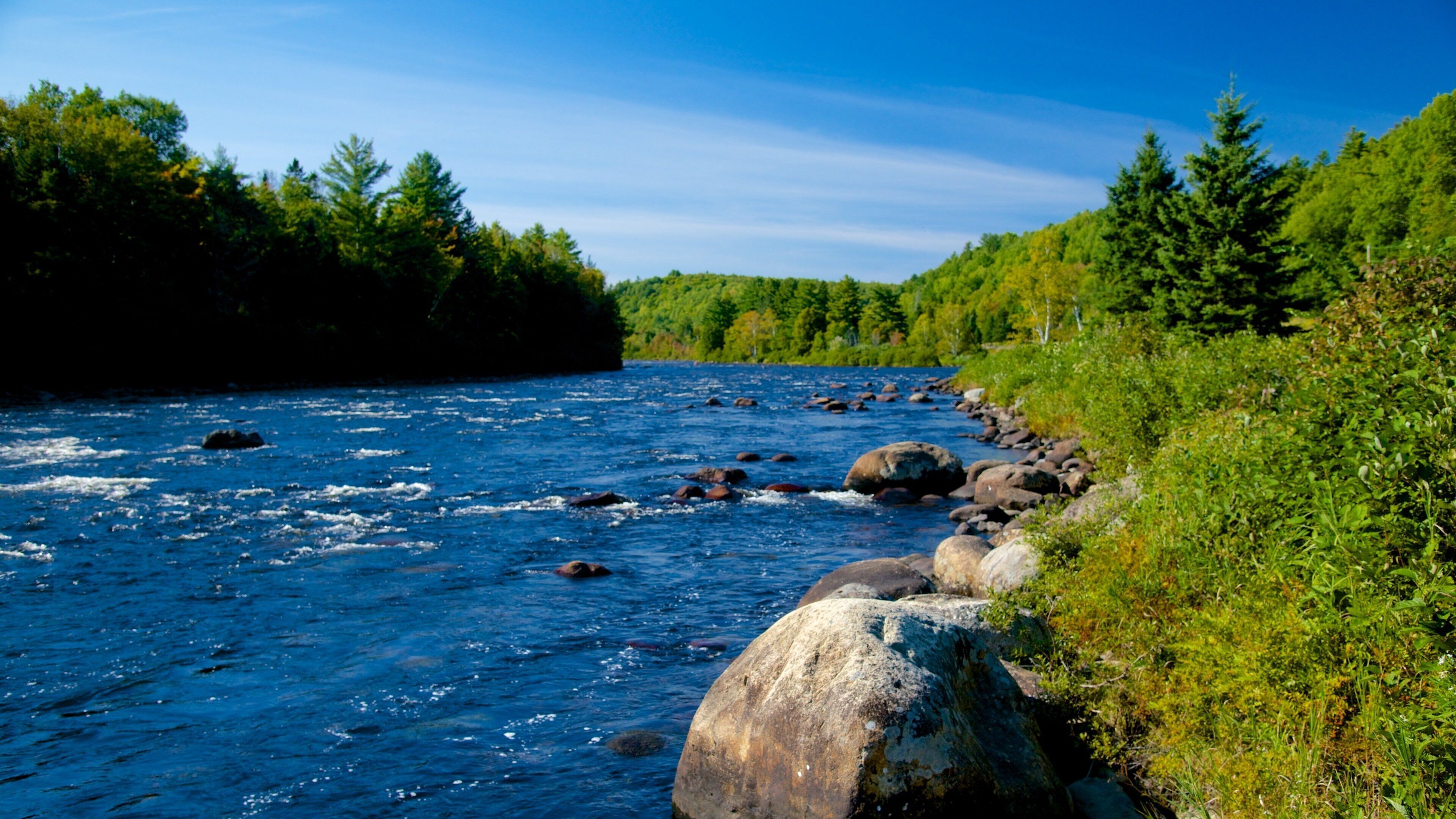 The Forks showing tranquil scenes and a river or creek