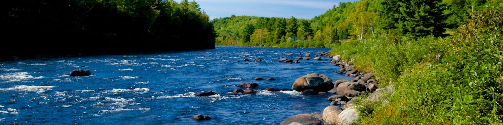 The Forks mostrando escenas tranquilas y un río o arroyo