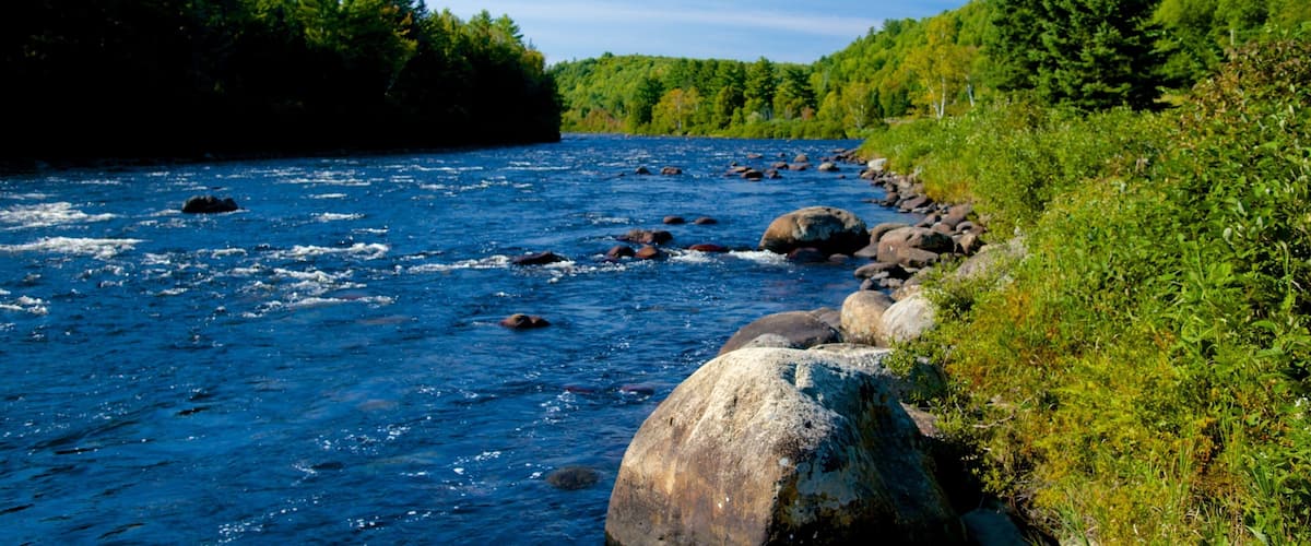 The Forks showing a river or creek and tranquil scenes