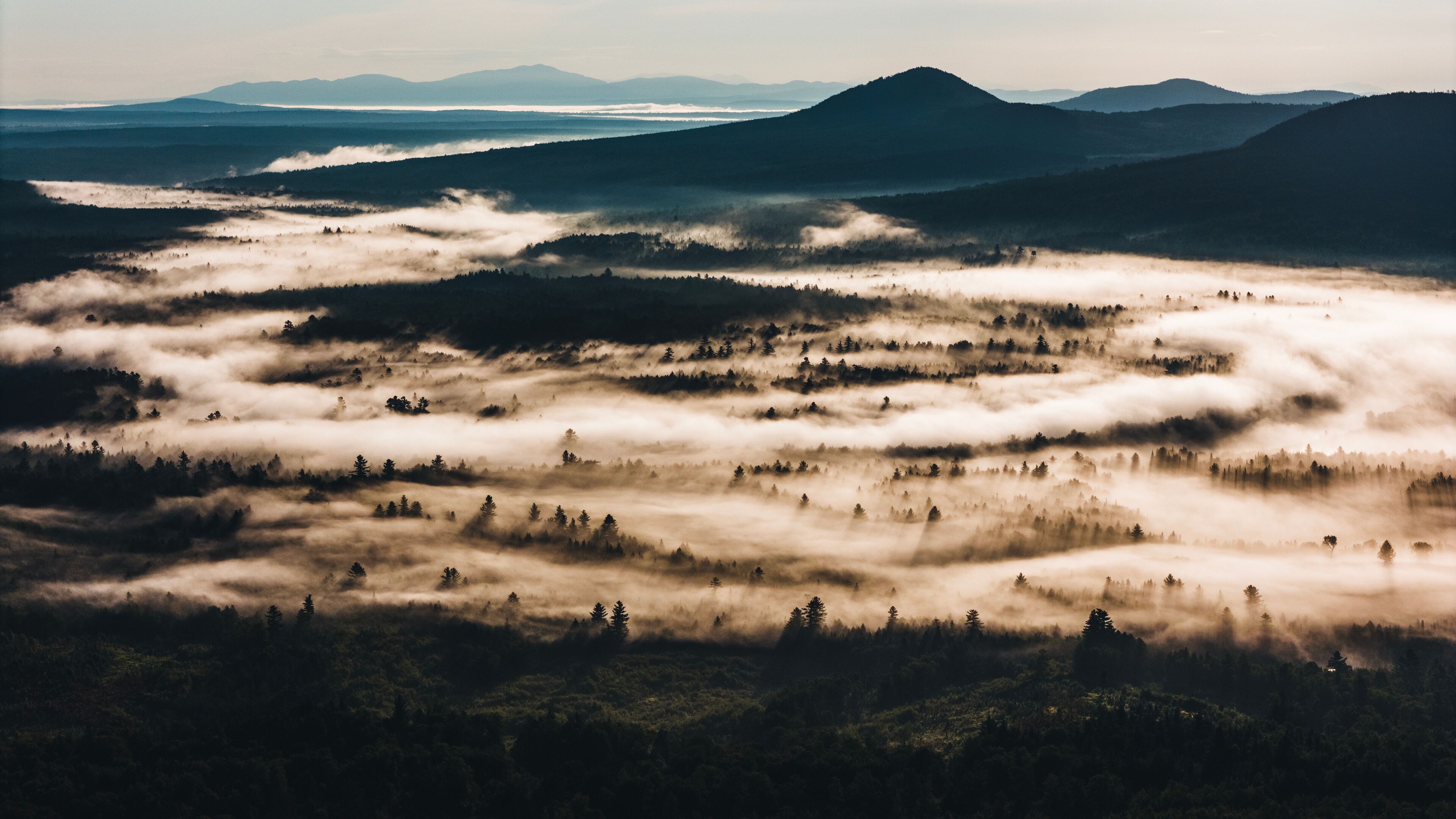 Aerial view of morning mist gathered in wooded valley, Maine.