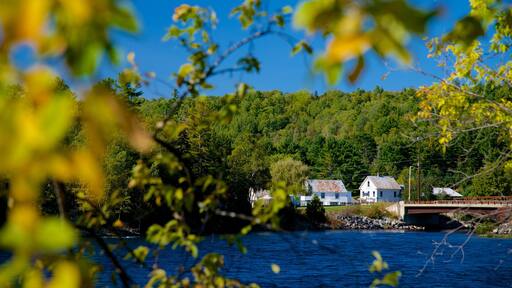 The Forks 设有 森林景觀, 河流或小溪 和 寧靜的景觀