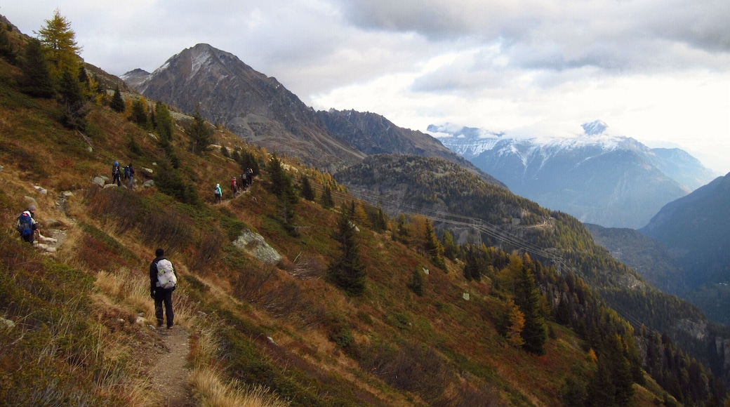 A string of hikers on the heights of Loriaz meadows, with great views of the Alpine summits
#TakeAHike