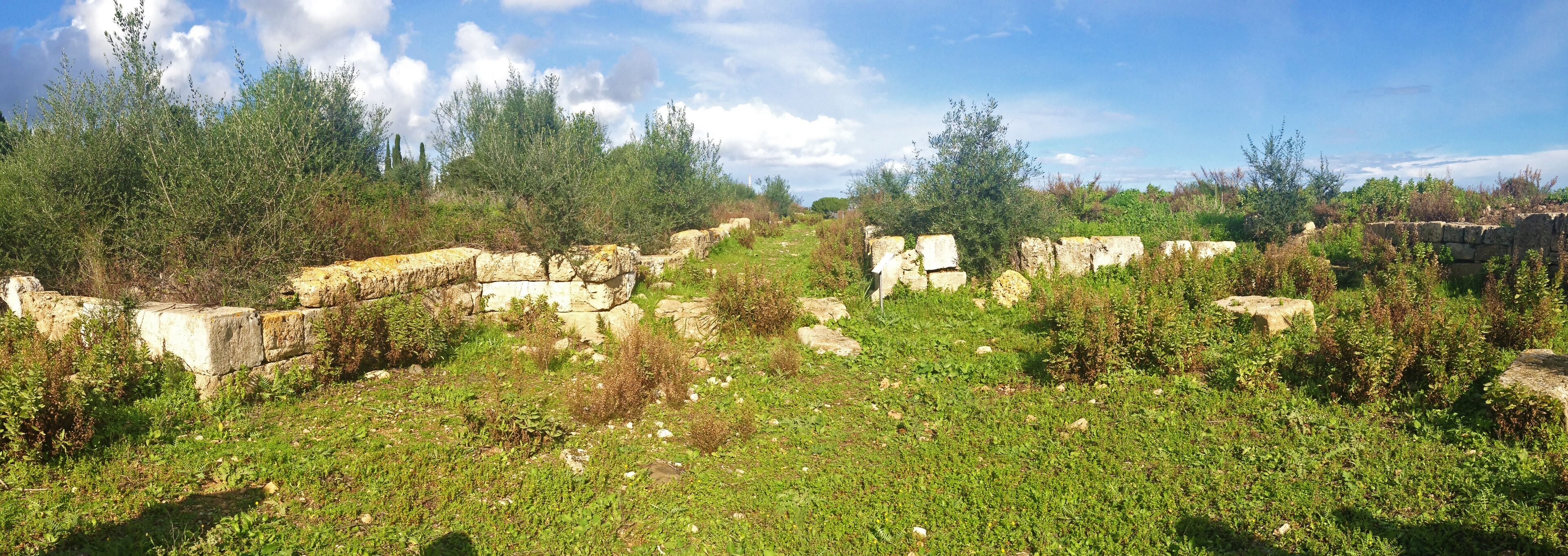 Porta sud di Megara Hyblaea