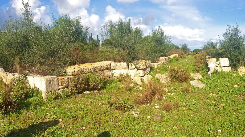 Porta sud di Megara Hyblaea