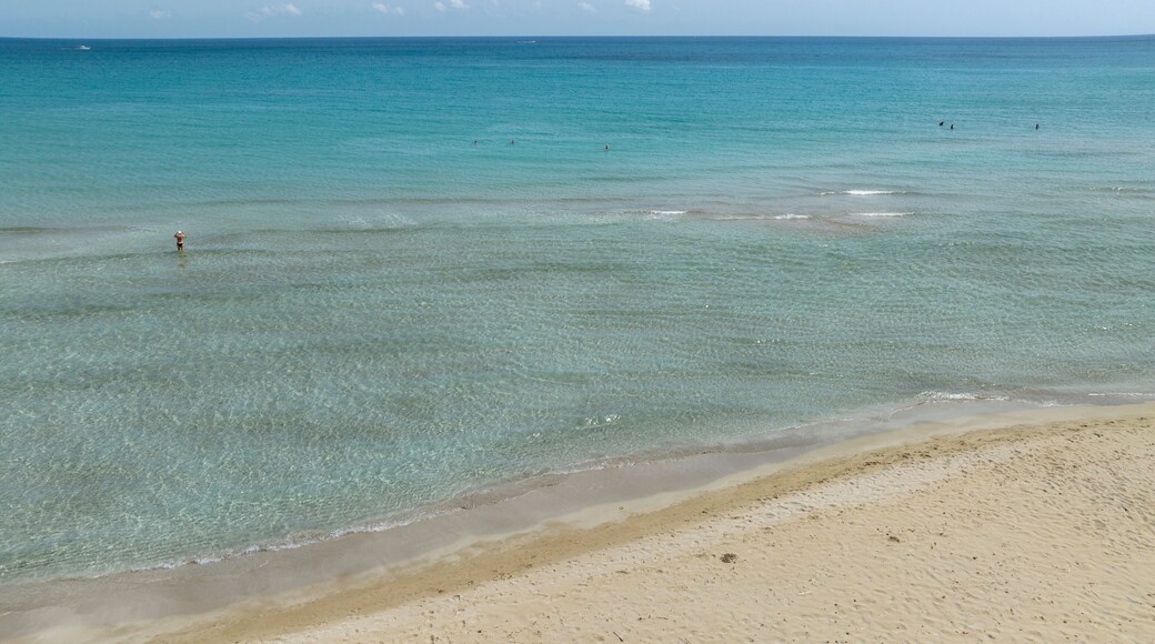 Aerial view of a white beach overlooking a clean, crystal-clear sea. It is San Lorenzo Beach in the Province of Syracuse, Sicily, Italy. Sunny summer morning.