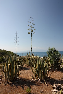 View of Etna Volcano at the bottom of the image.