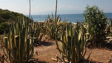 View of Etna Volcano at the bottom of the image.