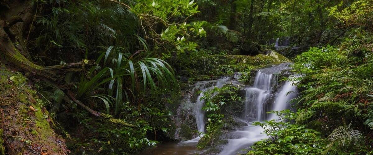 This is one of several small waterfalls that make up Jimbolongerri Cascades on the Albert River Circuit in Lamington National Park. These cascades mark the beginning of the waterfalls section on the circuit where you will come across some of the most beautiful waterfalls in the area. These waterfalls come alive after a big downpour of rain and really do look amazing. This waterfall is approximately half way up the cascades and if you look closely you can see the waterfall at the top where they begin. #weekendgetaway #nationalpark #hiking #green