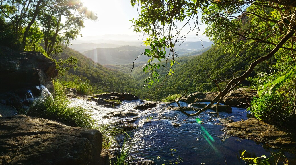 Moron Wasserfall im Lamington Nationalpark, Queensland, Australien