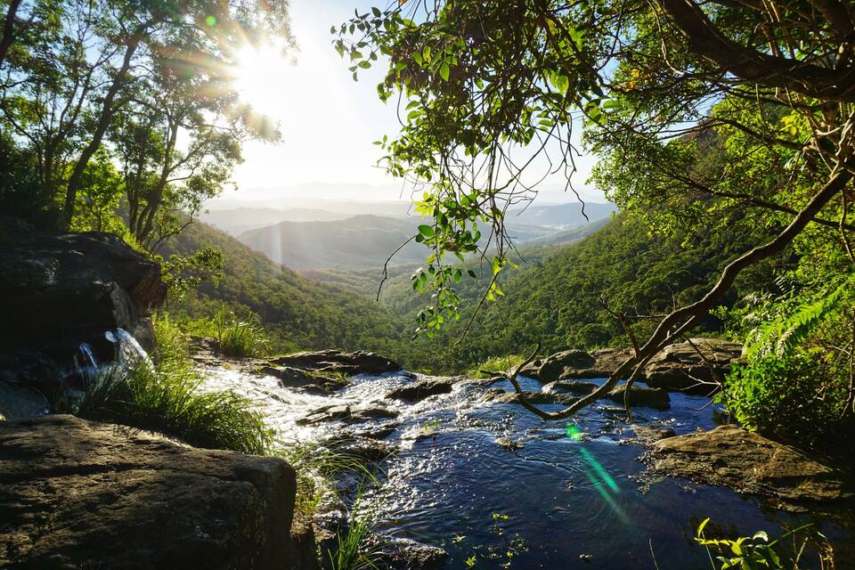 A river flowing through a valley with rocky terrain and dense foliage.