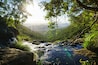 Parque Nacional Lamington National Park