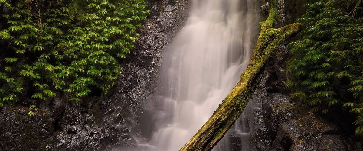 One of many beautiful waterfalls in Lamington National Park. This was taken late in the afternoon during a recent forest walk. While I was shooting this scene the sun streamed some amazing light through the trees leaving a nice glow in the greenery around the falls. This is nature at its best!
#weekendgetaway #hiking #green