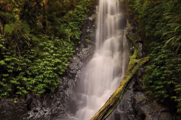 One of many beautiful waterfalls in Lamington National Park. This was taken late in the afternoon during a recent forest walk. While I was shooting this scene the sun streamed some amazing light through the trees leaving a nice glow in the greenery around the falls. This is nature at its best!
#weekendgetaway #hiking #green