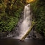 One of many beautiful waterfalls in Lamington National Park. This was taken late in the afternoon during a recent forest walk. While I was shooting this scene the sun streamed some amazing light through the trees leaving a nice glow in the greenery around the falls. This is nature at its best!
#weekendgetaway #hiking #green
