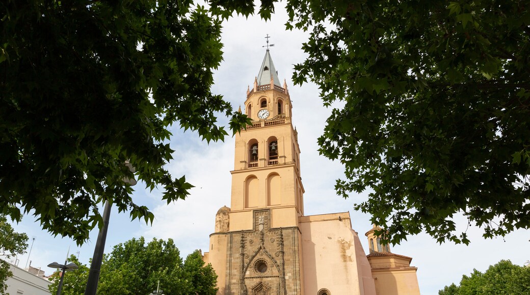 Villafranca de los Barros