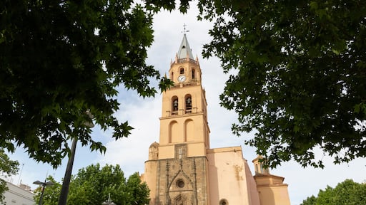 Parish Church of Our Lady of the Valley in Villafranca de los Barros, Tierra de Barros, province of Badajoz, Extremadura, Spain