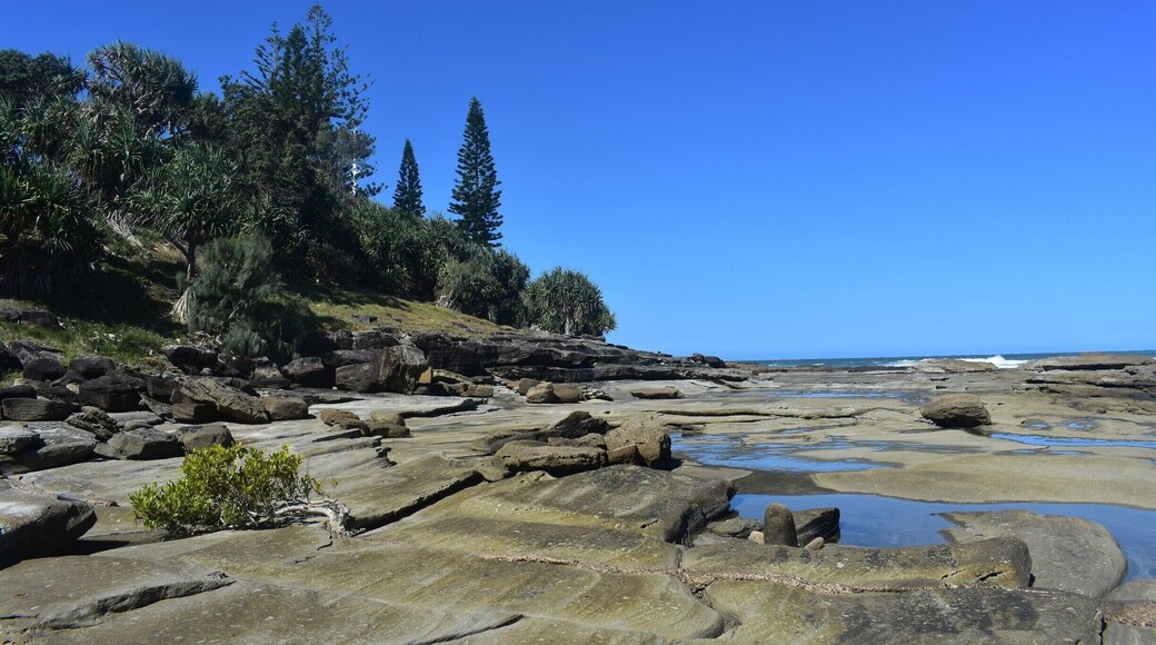 A beach made out of rocks.
Waves crashing on one side and a beautiful bushy hill to the other, taking a wander along here is the perfect addition to any day
