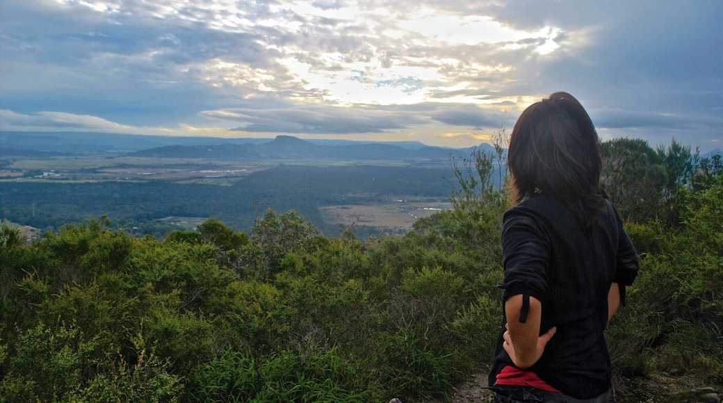 Climbing Mount Coolum.
Awesome views on the top of Mount Coolum! It's a short climb (only half an hour) but it was a good hike due to steep steps near the top of the summit. There were interesting rock formations and fauna on the way as well.
#hiking #climbing