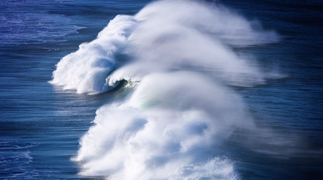 The weather is wild again which means massive waves!! They are phenomenal to watch from the safety of the shore so just imagine the adrenaline when amongst these monsters.
#queensland #australia
#aquatrove