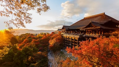 A traditional Japanese building surrounded by autumn foliage.