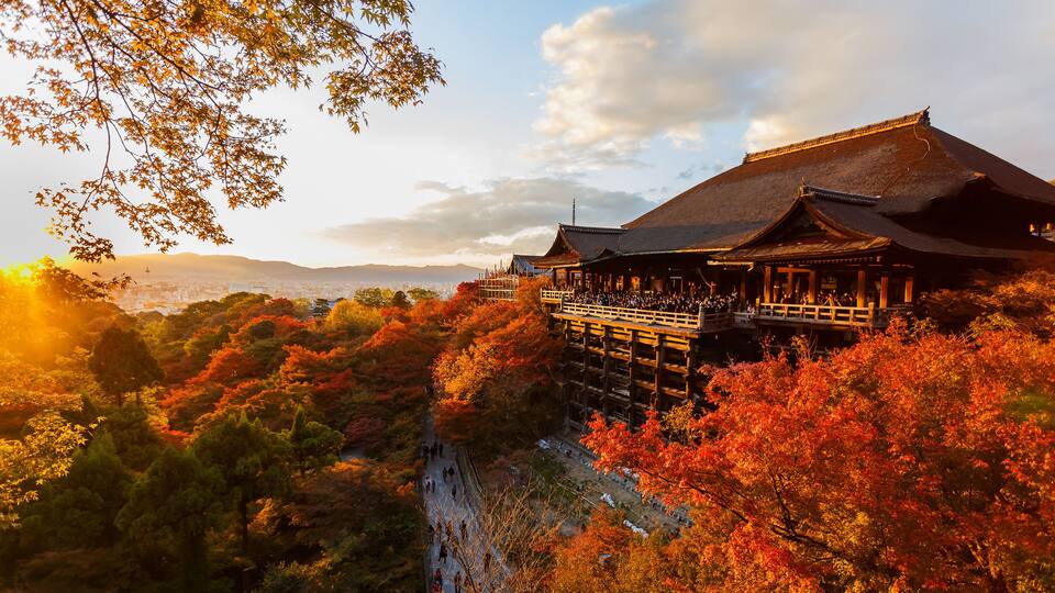 A traditional Japanese building surrounded by autumn foliage.