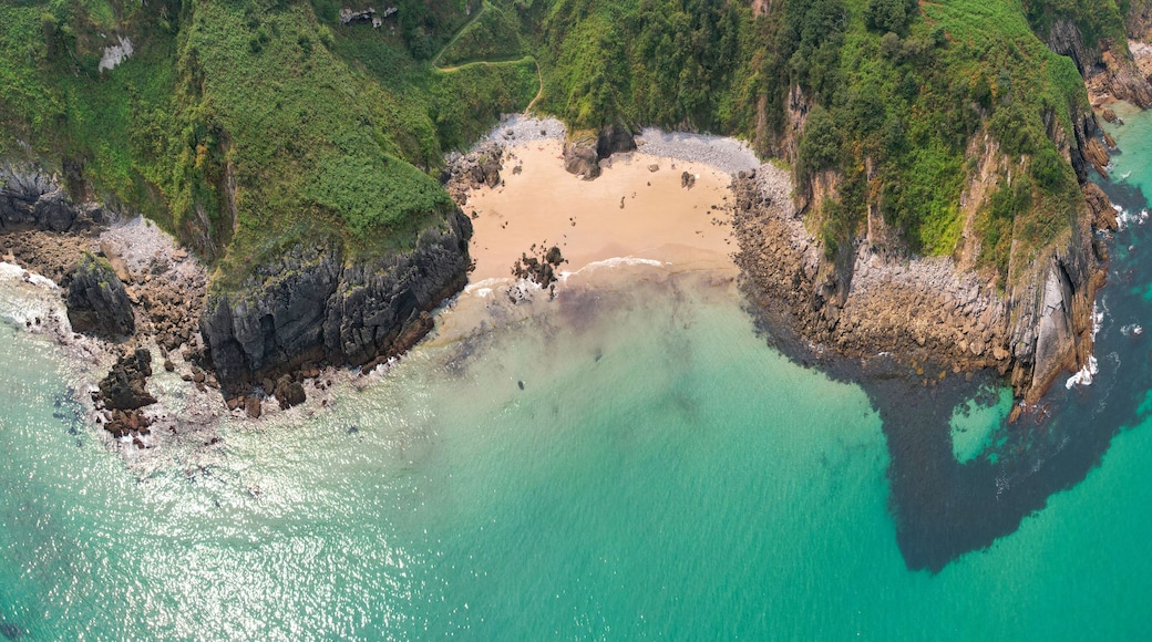 Panoramic aerial view of Arama Beach on sunny summer day. Pechon, Spain.