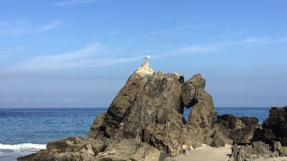 A rocky coastline with a seagull perched on a rock formation.