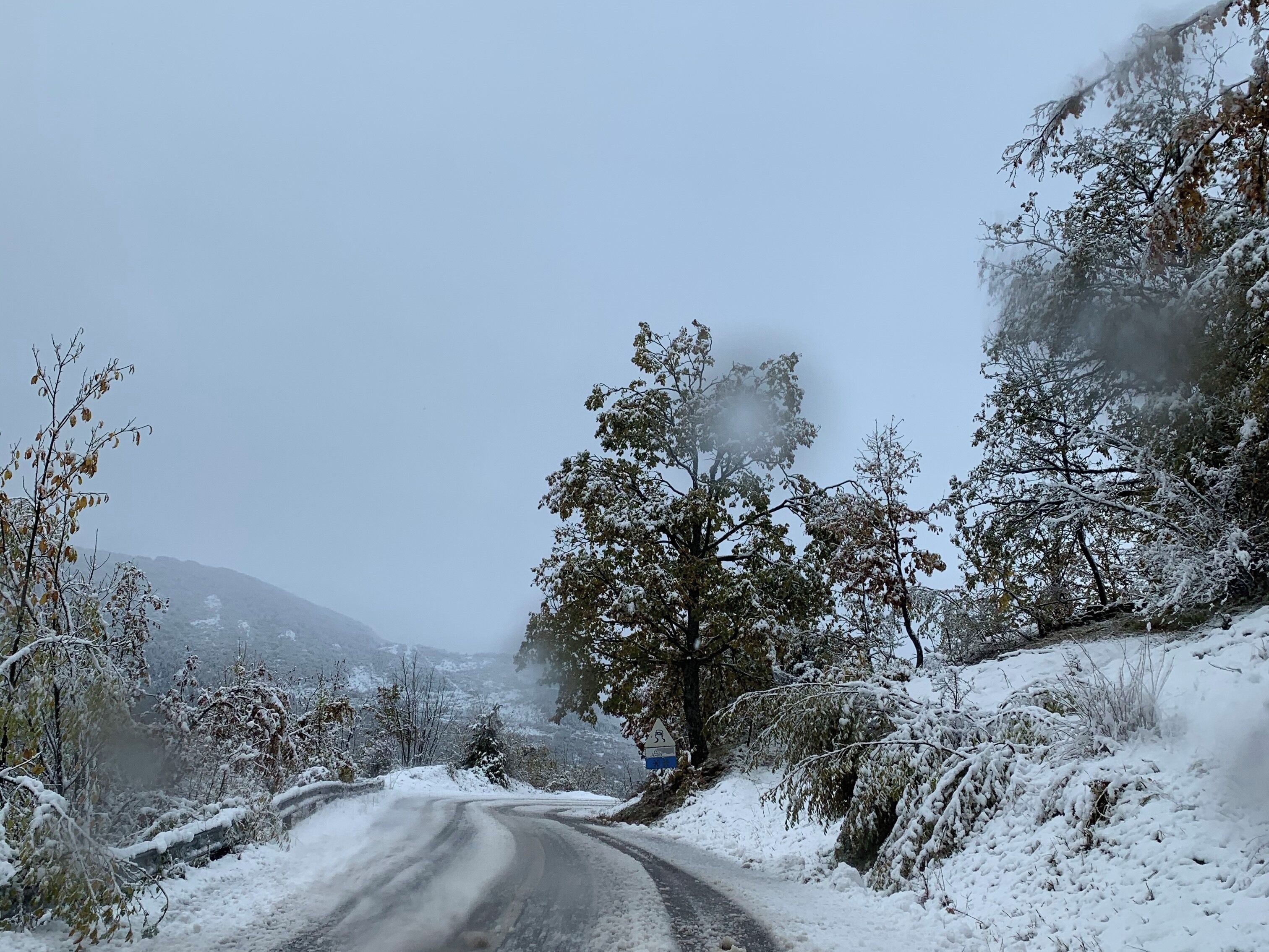 Snow❄️❄️❄️