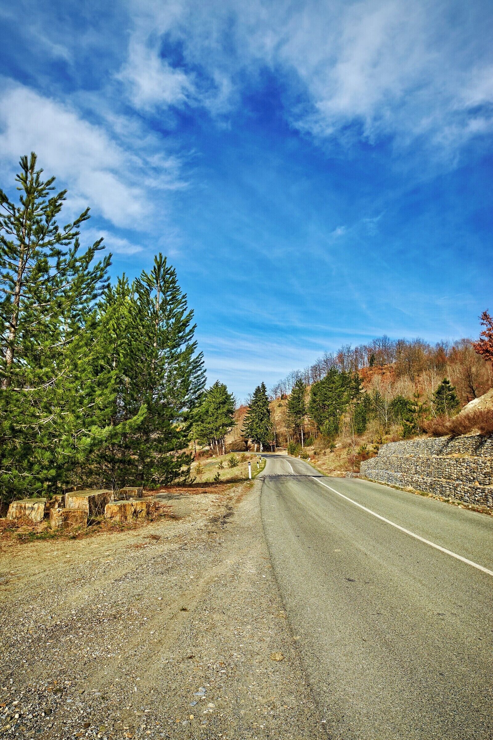 Camino rural bordeado por árboles y muros de piedra bajo un cielo azul despejado.