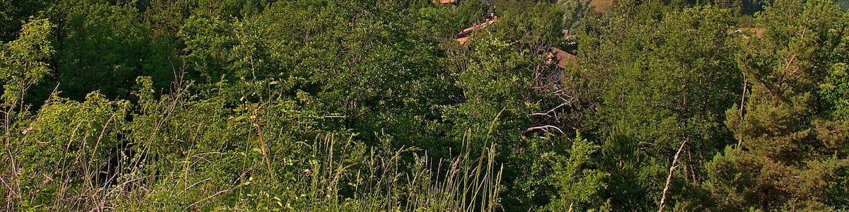 Eine gebirgige Landschaft mit dichten grünen Wäldern, einer kleinen Kirche und einem Dorf im Tal.
