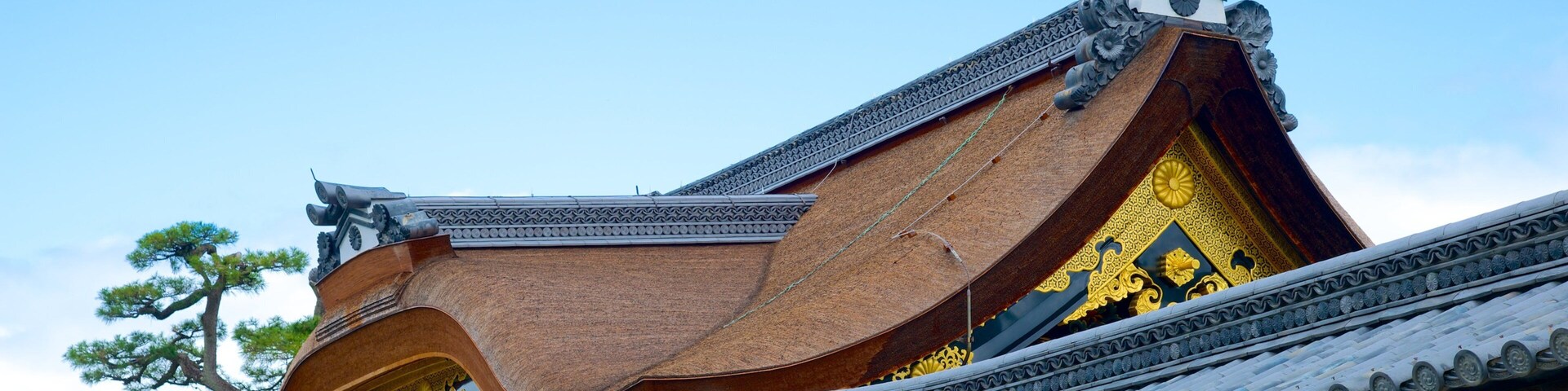 St Maarten and St Martin showing heritage architecture and chateau or palace