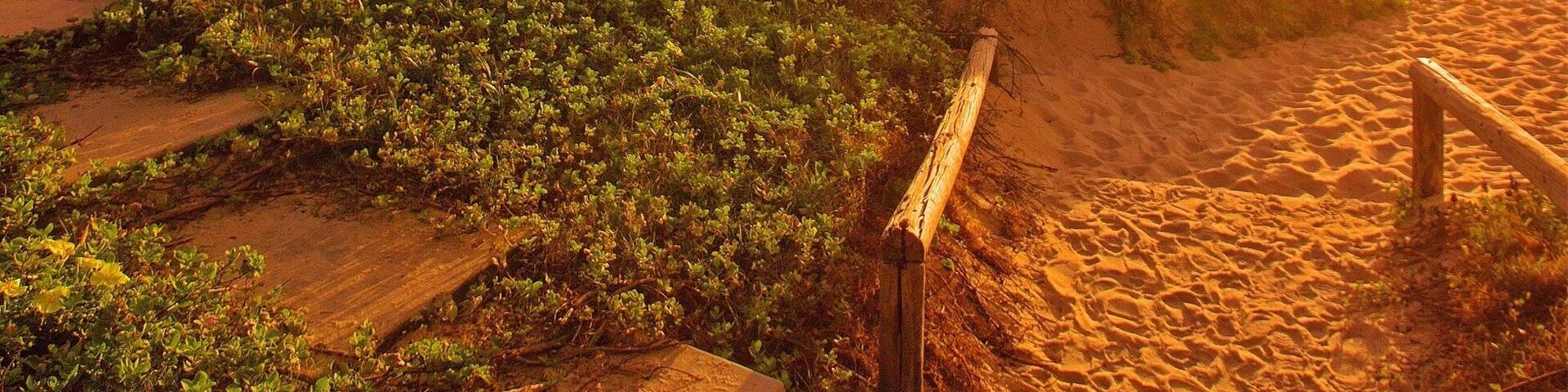 That amazing early morning light on Sunshine Beach! 🌅🌴🐠😀
#visitnoosa #whpfirstlight #thisisqueensland #seeaustralia
