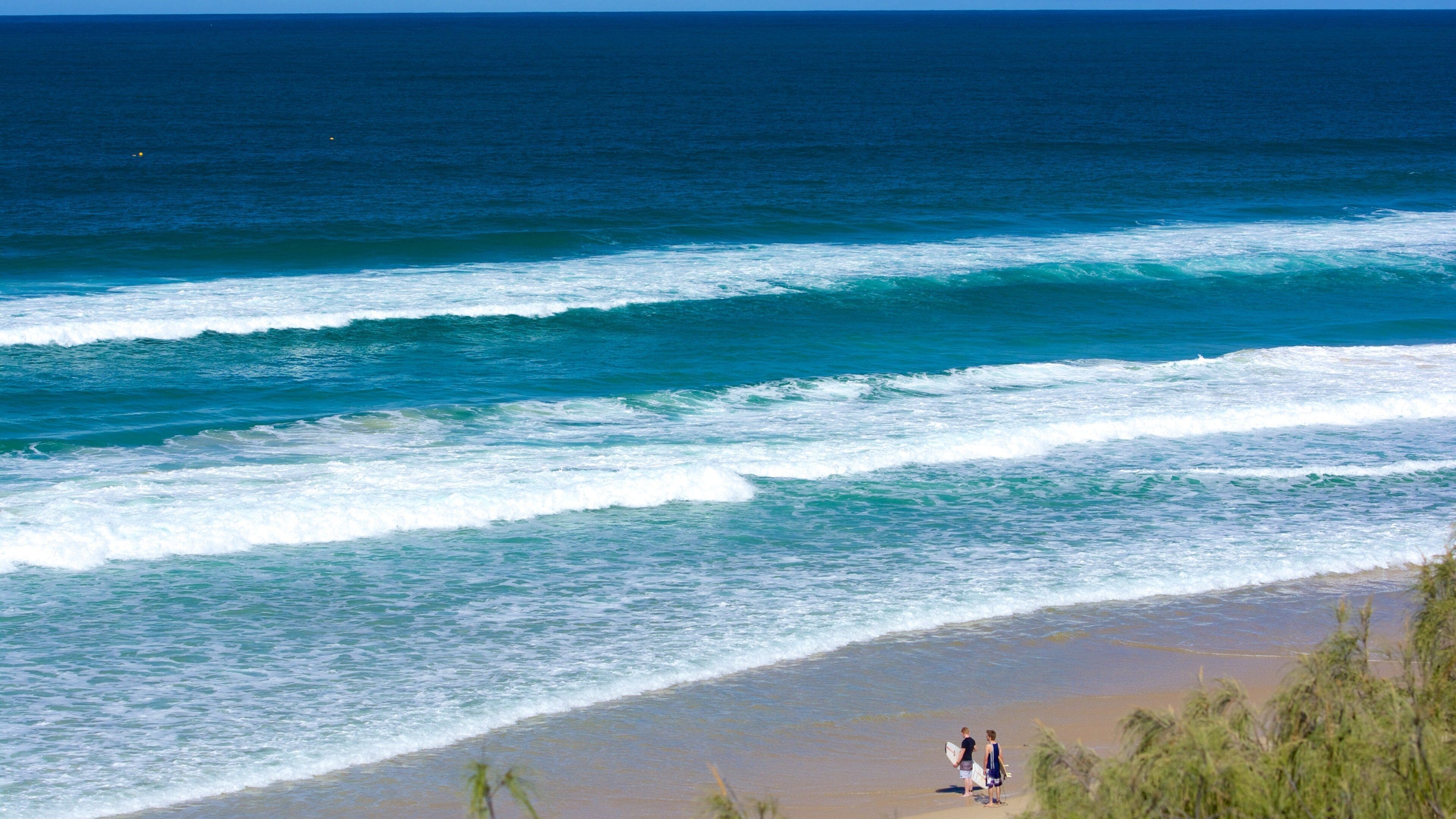 Sunshine Beach que inclui uma praia de areia