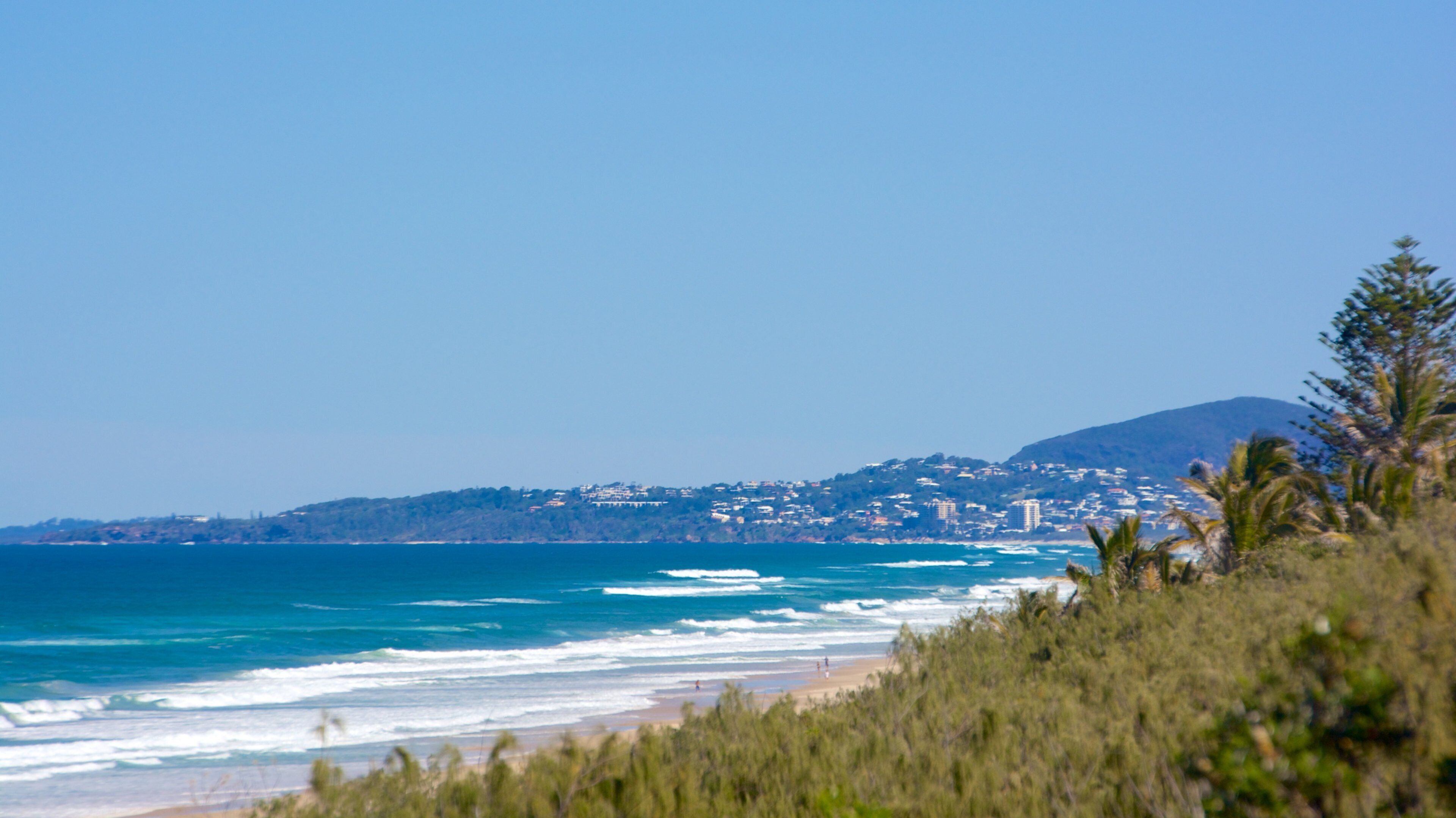 Sunshine Beach showing general coastal views