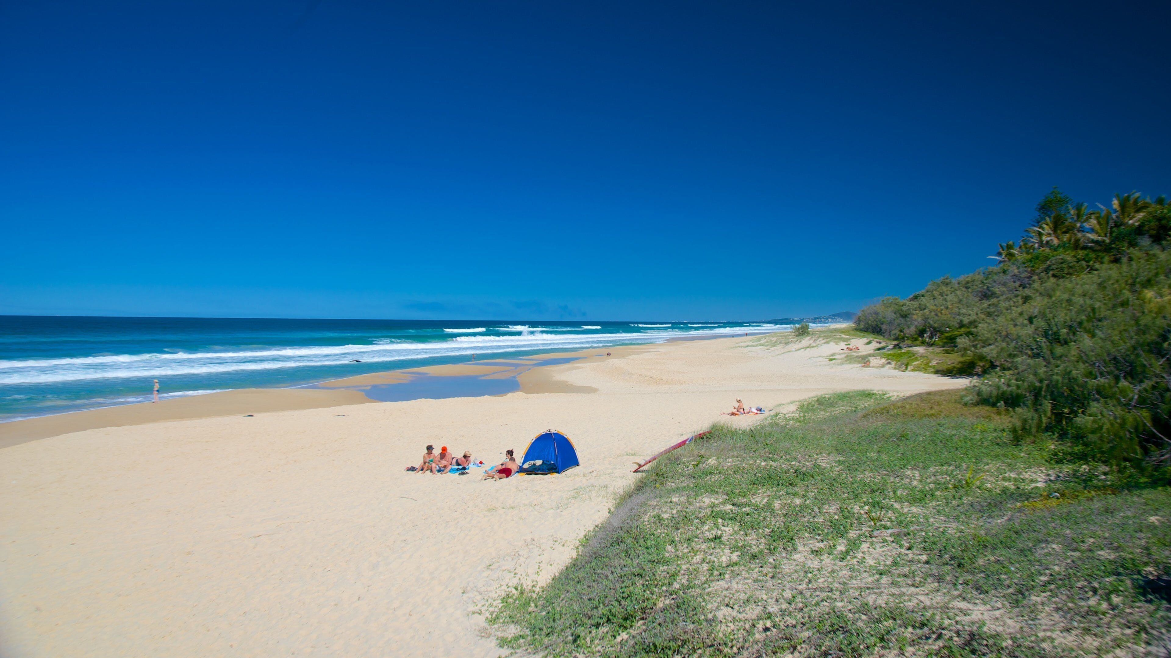 Sunshine Beach que inclui uma praia de areia
