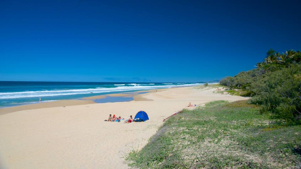 Sunshine Beach que inclui uma praia de areia