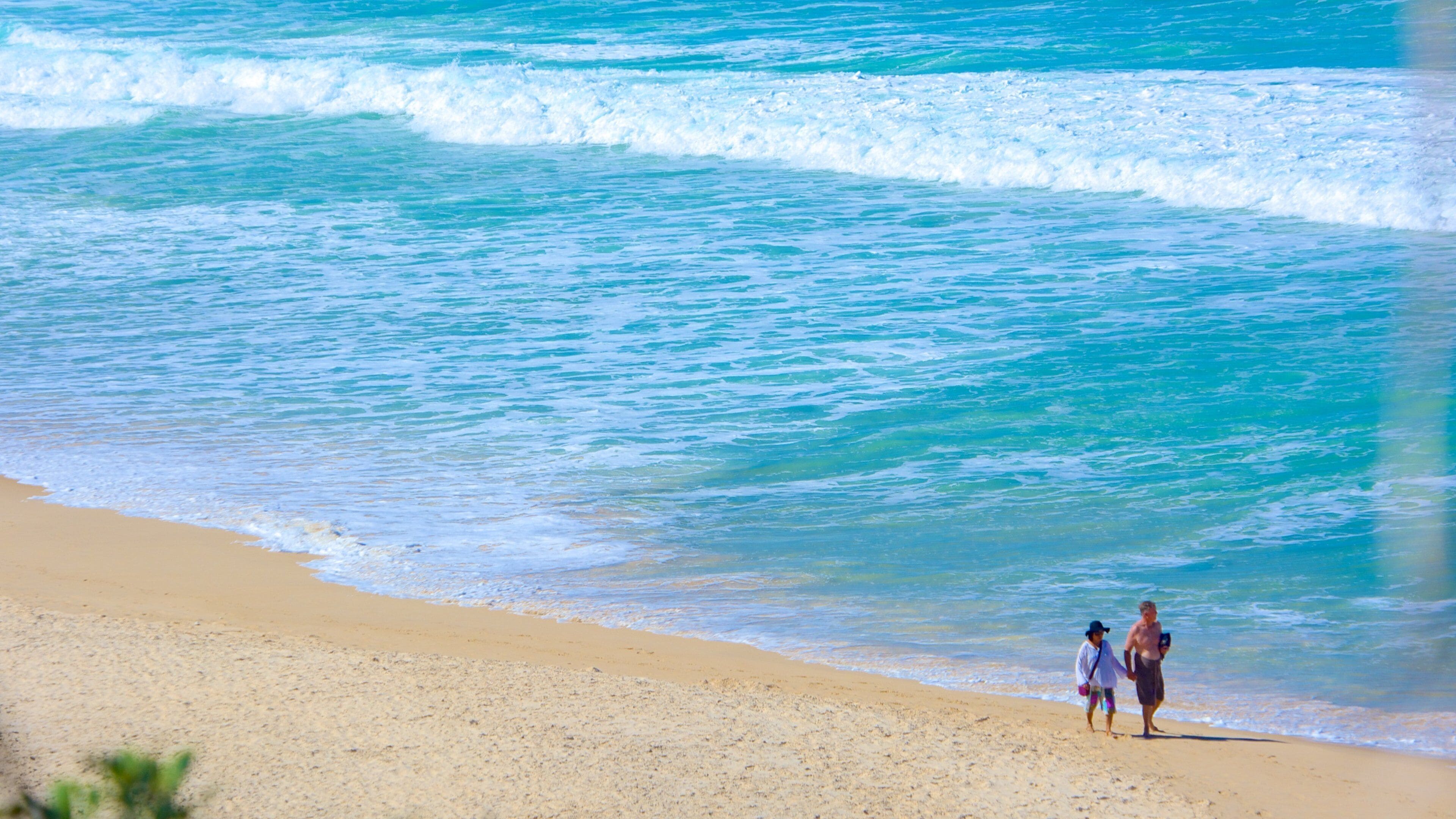 Sunshine Beach featuring a beach as well as a couple