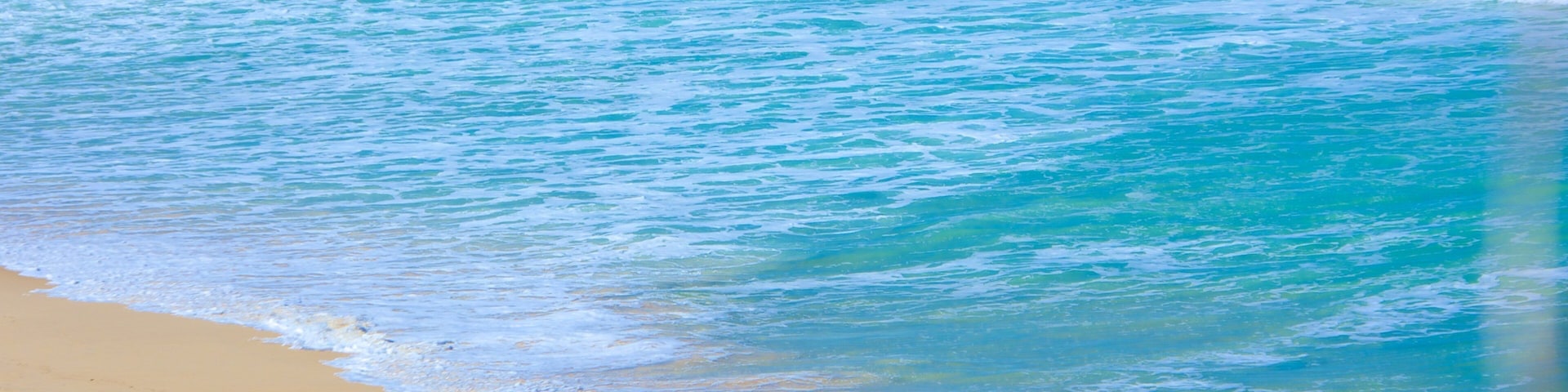 Sunshine Beach featuring a beach as well as a couple