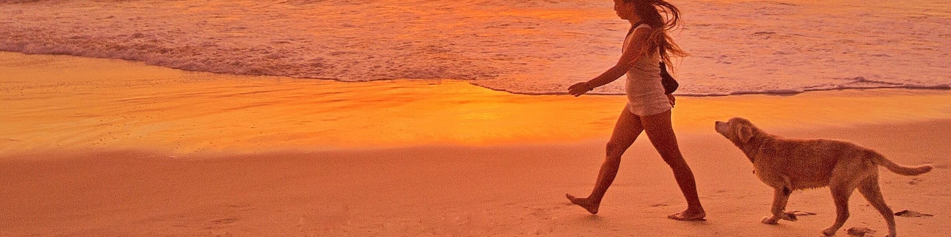 Start the week with a walk on the beach 🌅🐺
Have a great one! 🌅🐠🌴😀
#visitnoosa #visitsunshinecoast #thisisqueensland #seeaustralia