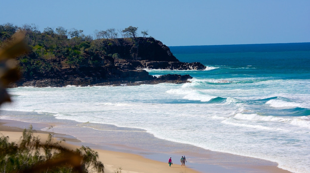 Sunshine Beach featuring a beach, rugged coastline and landscape views