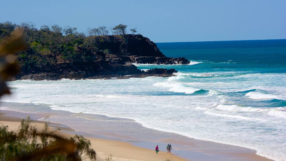 Sunshine Beach que inclui paisagem, litoral acidentado e uma praia de areia