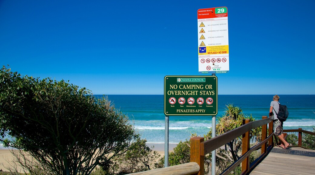 Sunshine Beach ofreciendo vistas generales de la costa y también un hombre