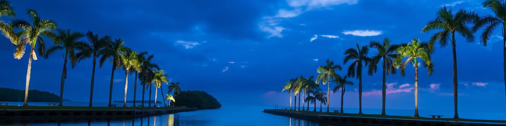 A tranquil water body with palm trees on both sides, a clear sky, and a distant landmass.